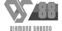 Safe Wallet logo